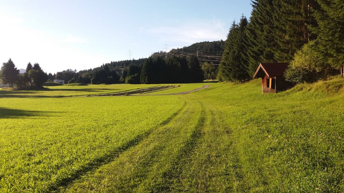 Frisch gemähte Wiese mit Feldstadel – Ferienwohnung AlMa