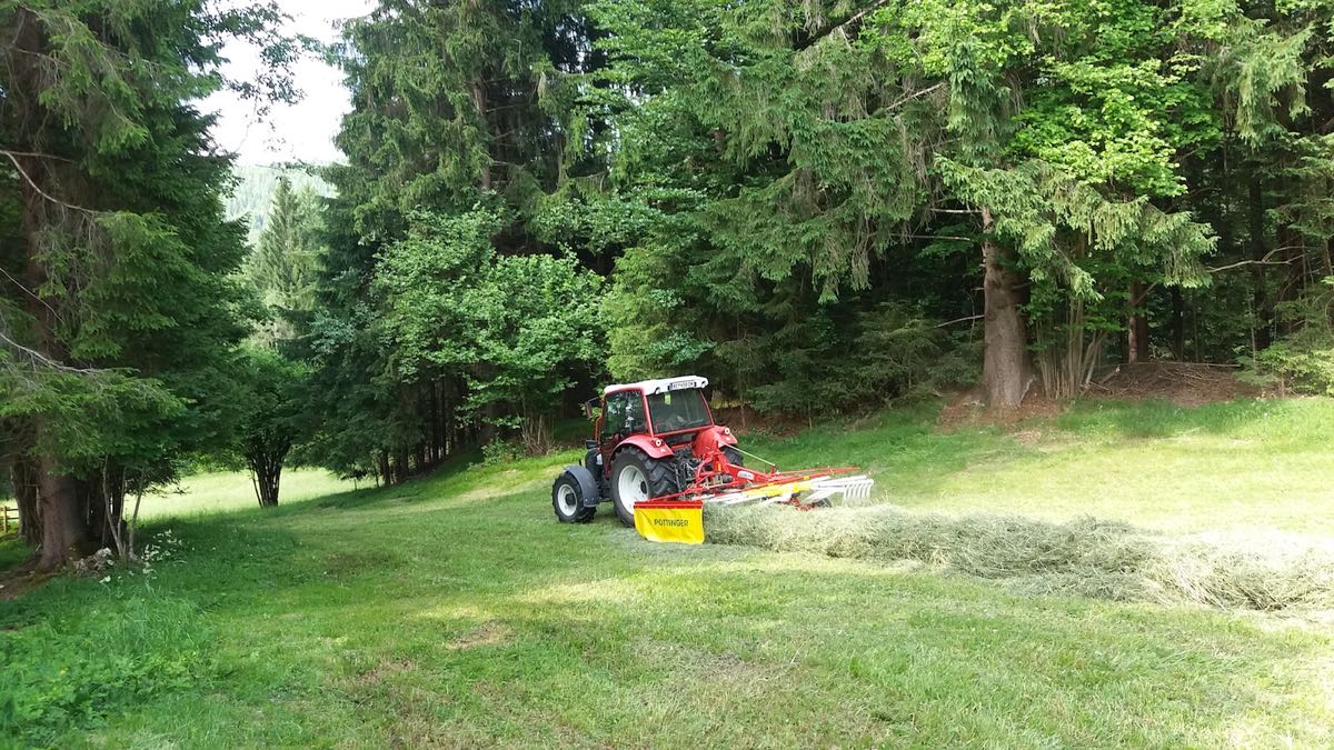 Mähen am Waldrand – Unsere kleine Farm